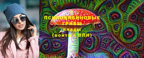 ешки Бронницы